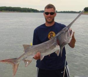 Paddlefish